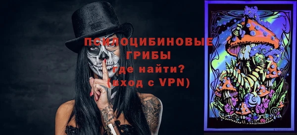 стафф Верея