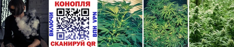 Бошки марихуана White Widow  Купить где  Еманжелинск 